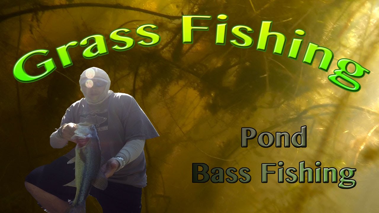 Fishing Grassy and Weedy Ponds ~ Bass Fishing Tips