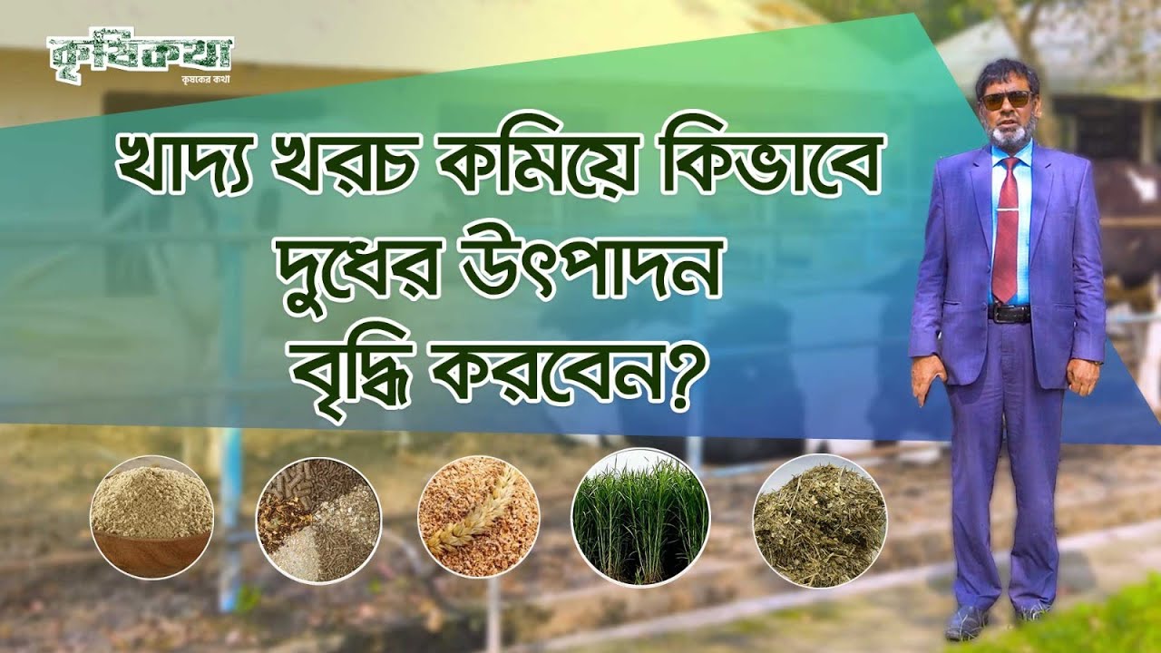 খামারের খাদ্যের দাম কমাতে যা করতে বললেন ড. মো: সফিকুর রহমান শশী । How to reduce dairy farm feed cost