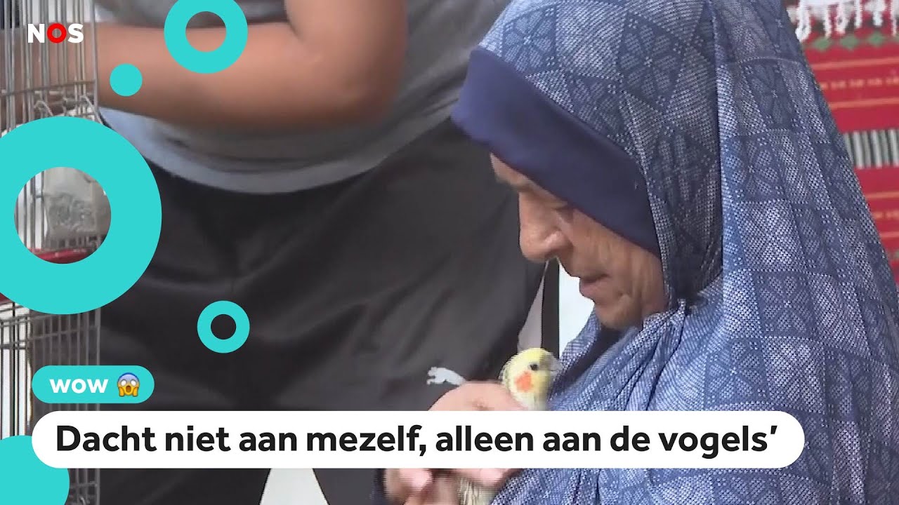 Vrouw gaat terug naar oorlogsgebied om haar vogels te redden