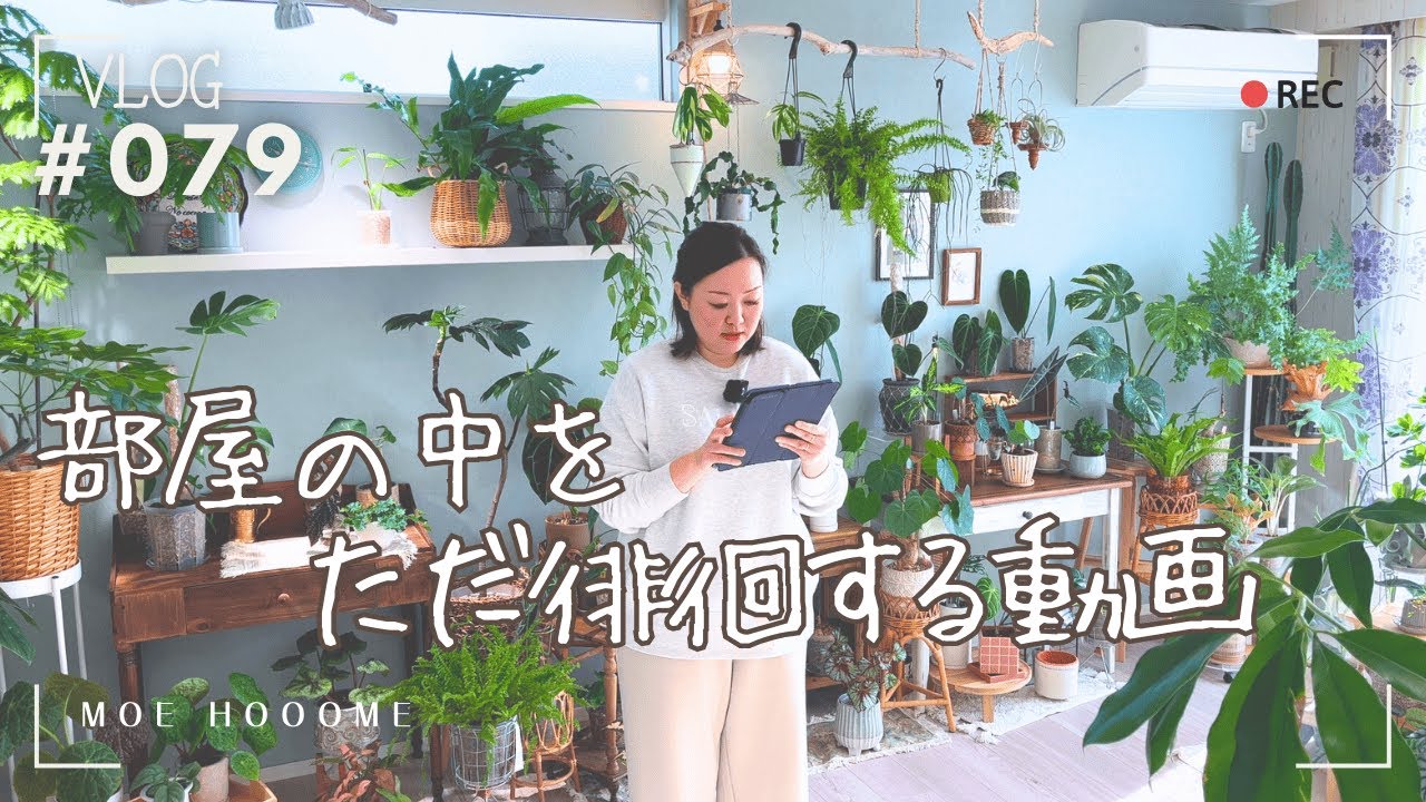 【部屋を徘徊】植物紹介のつもりがただの徘徊（Vlog/079）