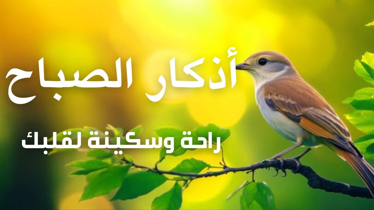 أذكار الصباح - راحة نفسية لا توصف بصوت القارئ علاء عقل | Morning Athkar - Dzkir Pagi