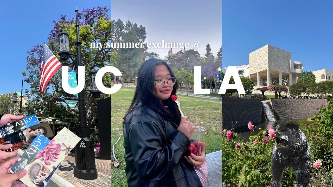 my summer exchange @ ucla 🐻 : vlog | emelia