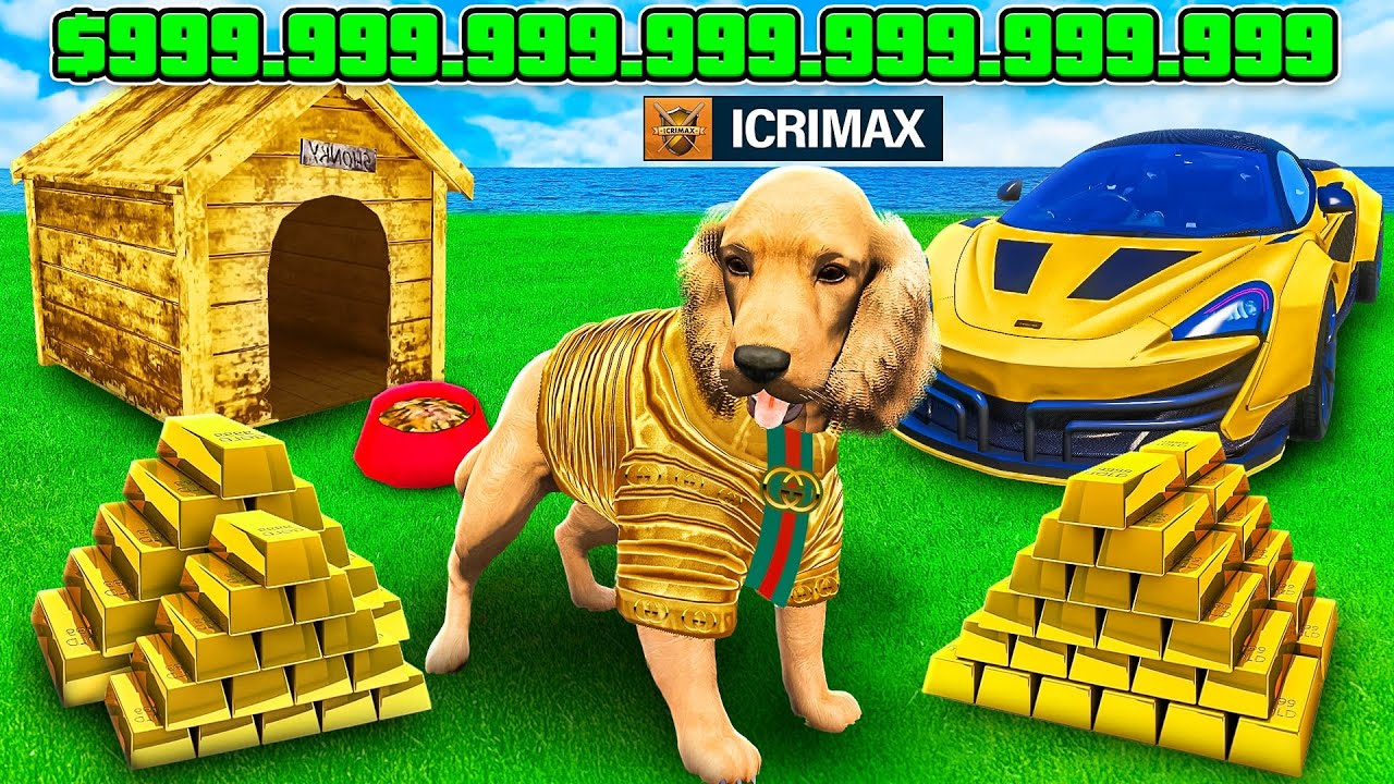 24 Stunden als MILLIONÄR HUND spielen in GTA 5 RP!