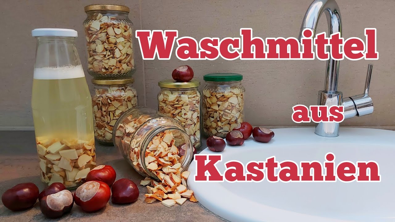 Biologisches Flüssigwaschmittel aus Rosskastanien selbermachen | Jahresvorrat für Wolle & Feinwäsche