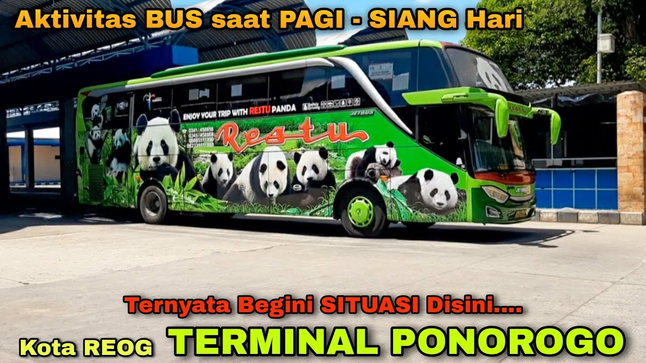 BUS Silih Berganti yang MASUK!! Aktivitas BUS di TERMINAL PONOROGO!! Pagi - Siang||Restu,Jaya,GH