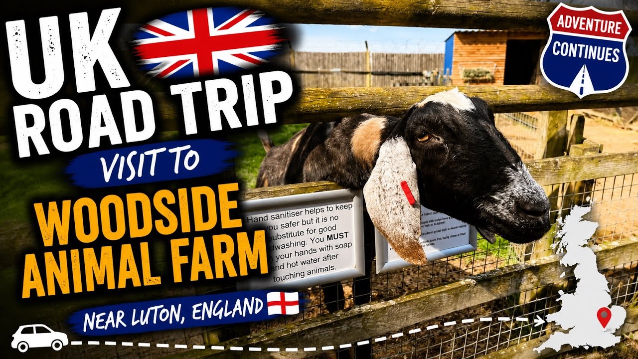 Our Visit To - Woodside Animal Farm, Luton, England 