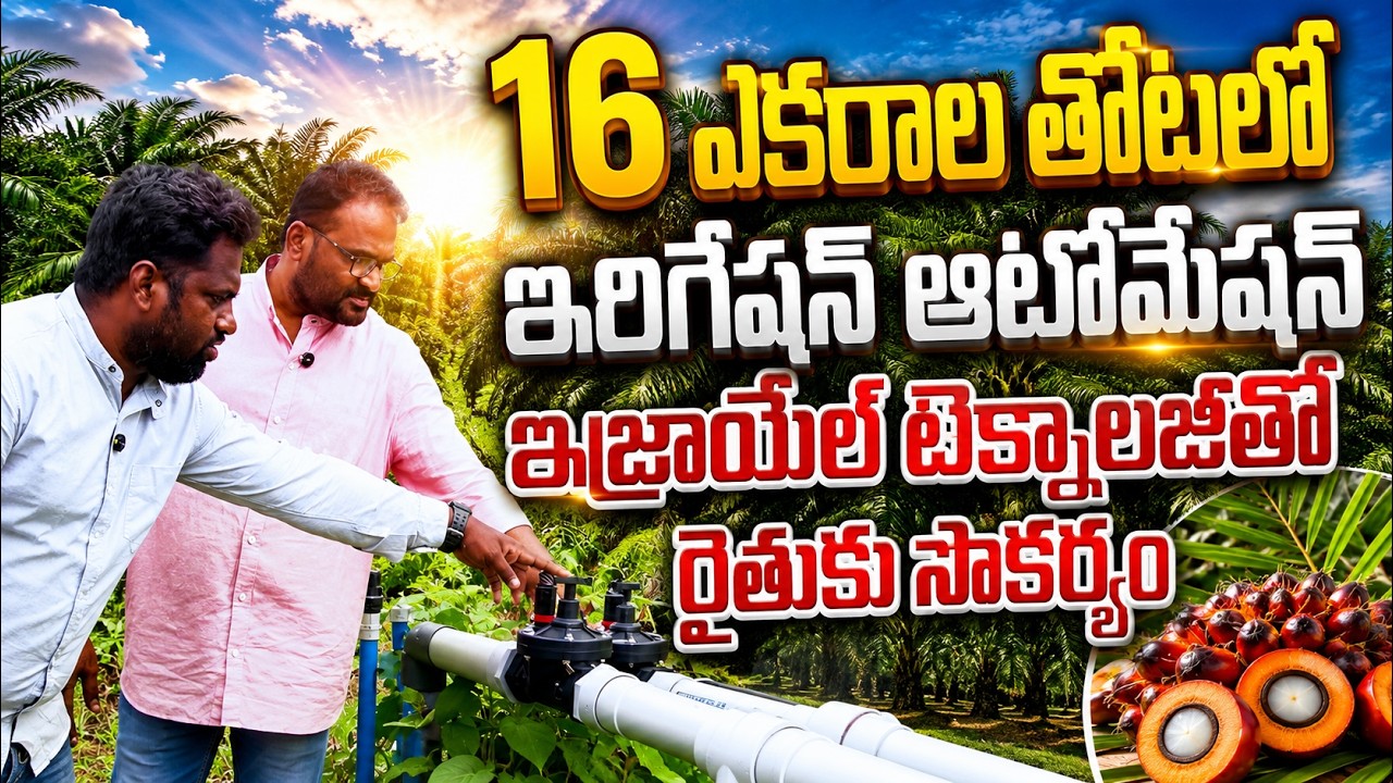 ఇజ్రాయేల్ టెక్నాలజీతో ఆటోమెటిక్ డ్రిప్ | irrigation automation | bhoomiputhra telugu
