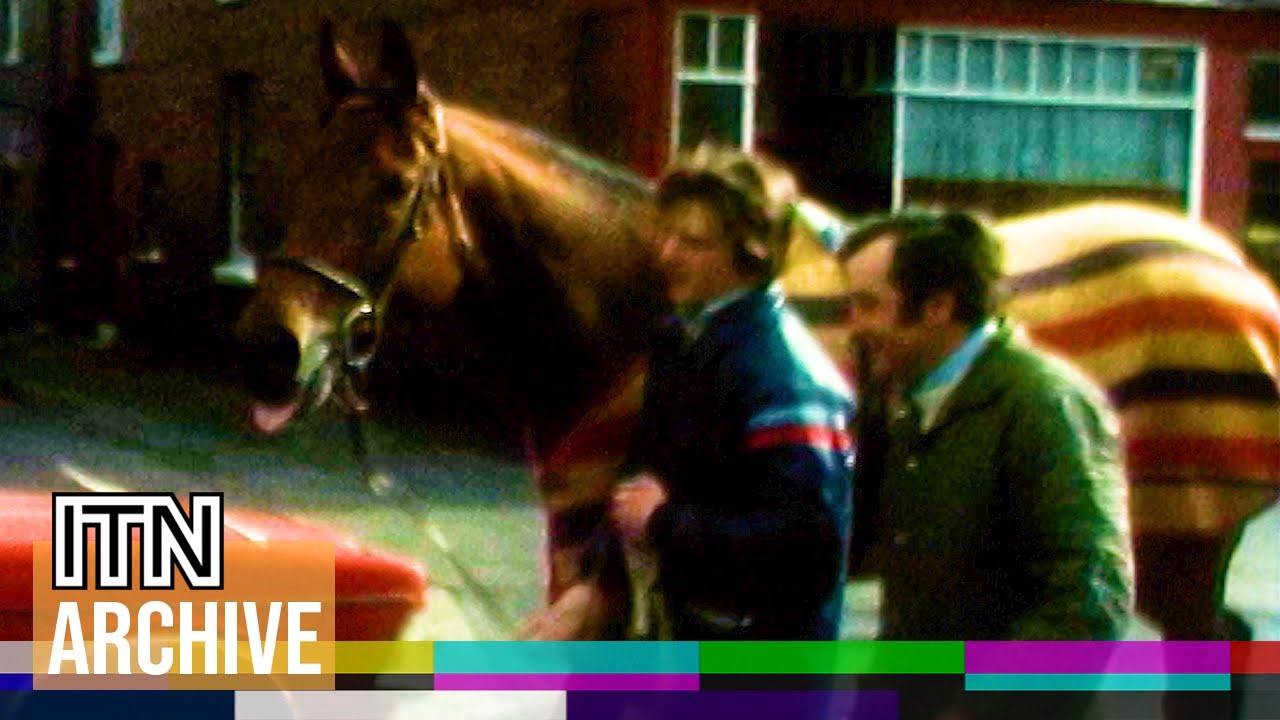 Red Rum Returns Home a Hero After Third Grand National Win (1977)