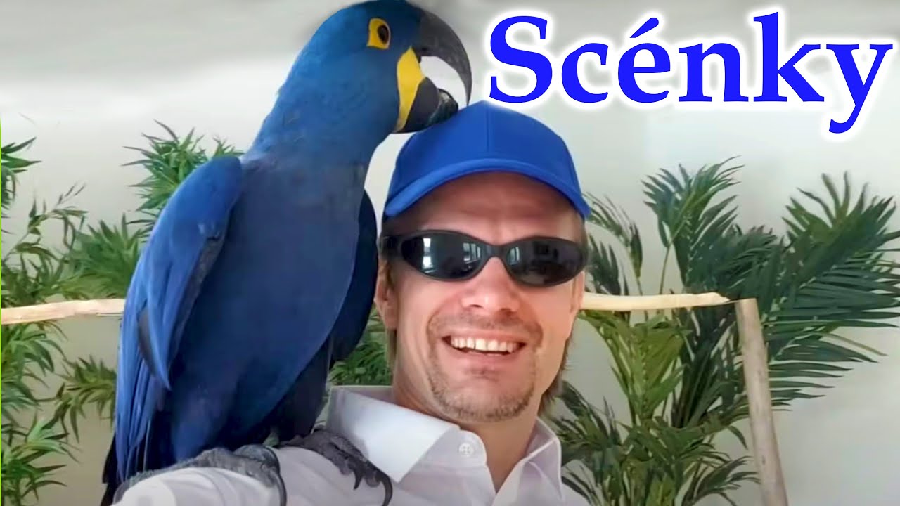 685 - Z&aacute;bavn&eacute; sc&eacute;nky - Pavel Klika