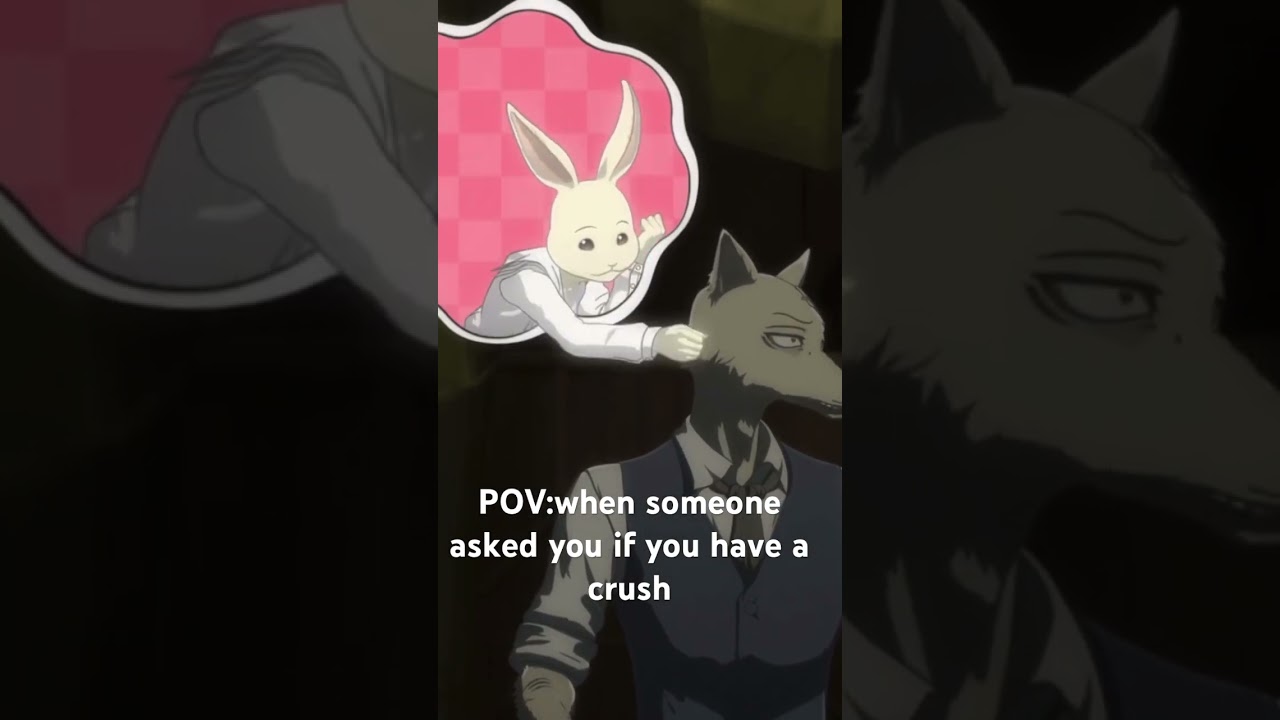 POV when u have a crush #beastars #legoshi #anime