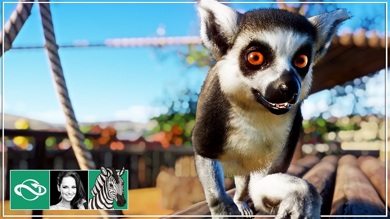 🦓 Ringtailed Lemur Habitat | Let's play Planet Zoo Franchise Mode | BETA | Gameplay | #17
