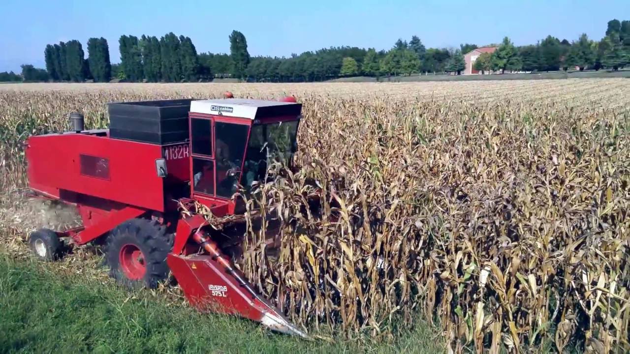Corn harvesting with Laverda M132R + John Deere & Fendt