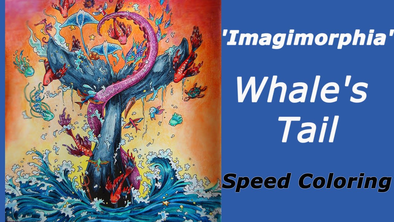 Speed Coloring in 'Imagimorphia' / Whale's Tail