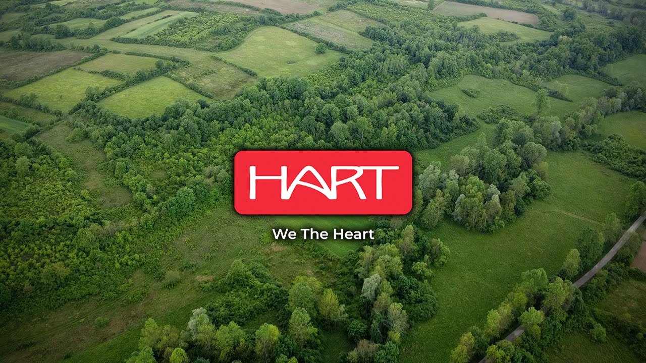 HART STALKING - Caza de Corzos en Centro Europa (Part 1/2)