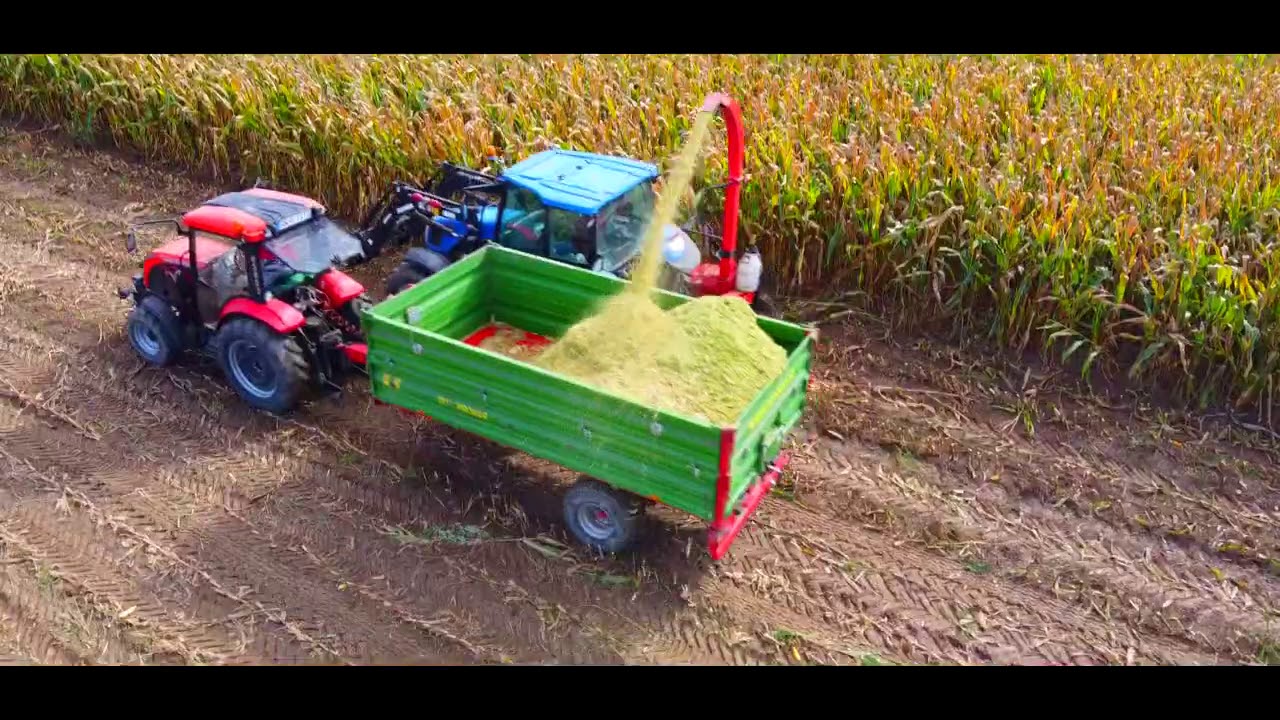GR Urbanek - Koszenie kukurydzy na kiszonkę - Fendt 930 Vario & New Holland T6050Rc ( Podkarpacie )
