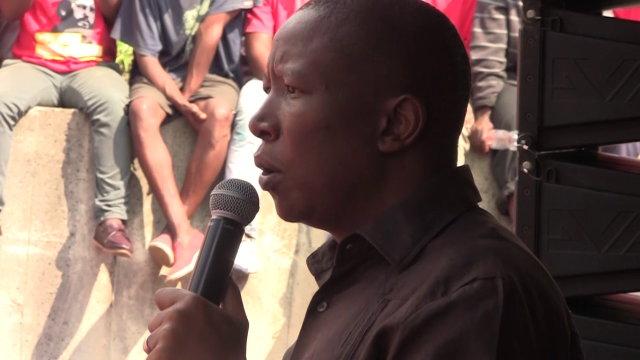 #FeesMustFall activist's release a victory for EFF – Julius Malema