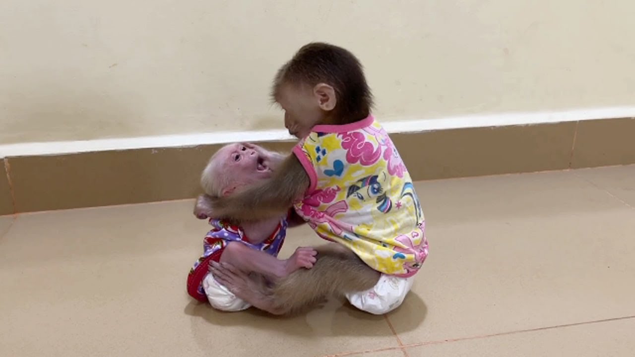Pity Chichi Get Disciplnee From Naughty Pavpav When She Just Hug Him