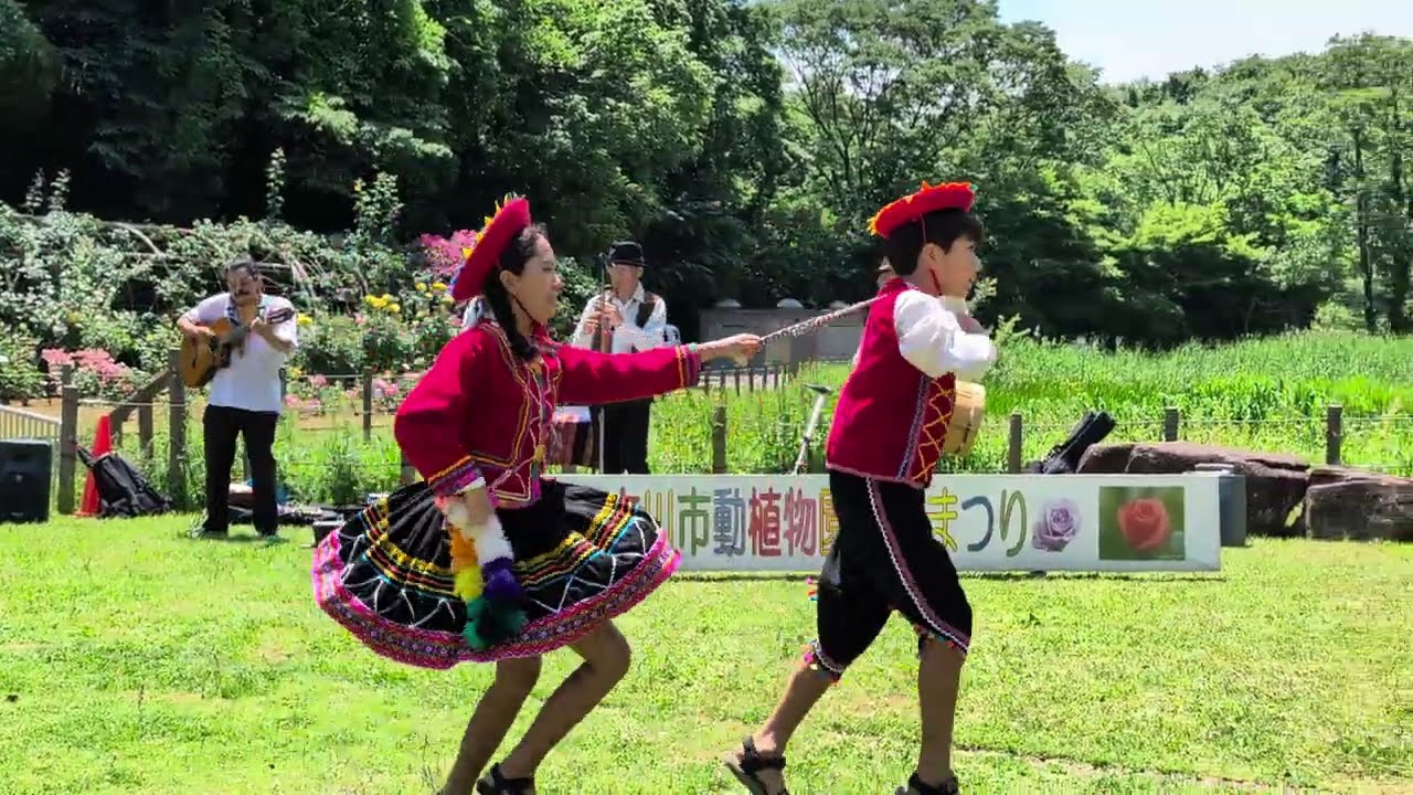 市川市動植物園バラ園　バラフェス　アンデス民族音楽　2024年5月26日