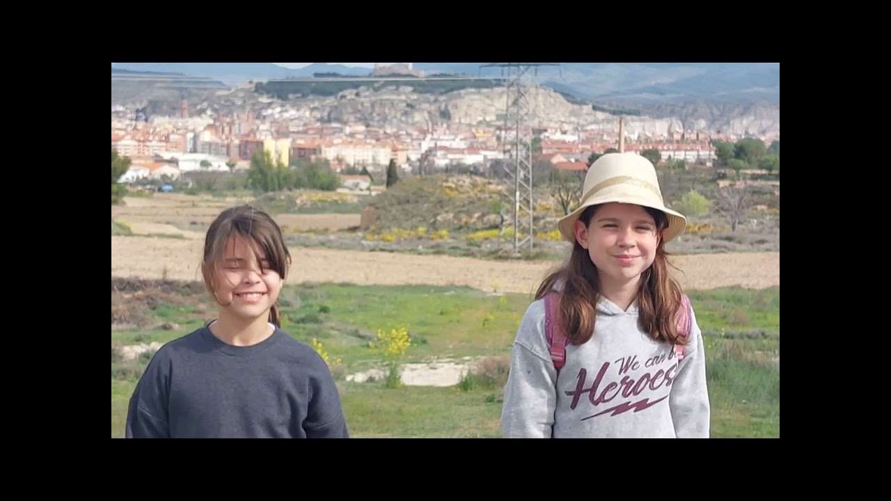 THE CHILDREN FOREST
