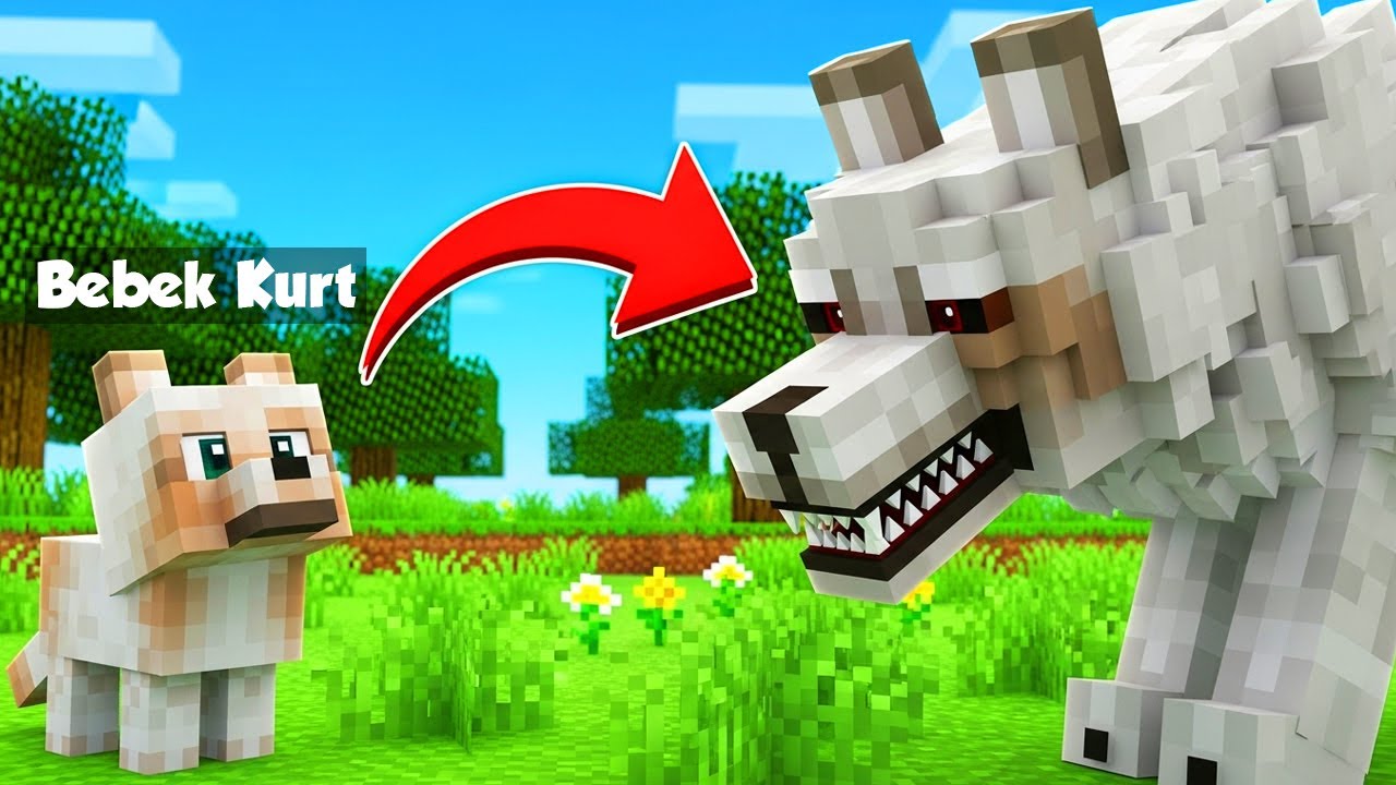 BEBEKLİKTEN ALFA KURTLUĞA! - Minecraft