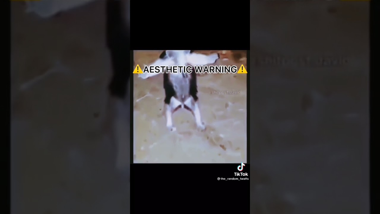 TIKTOK AESTHETIC WARNING COMPILATION PART 3