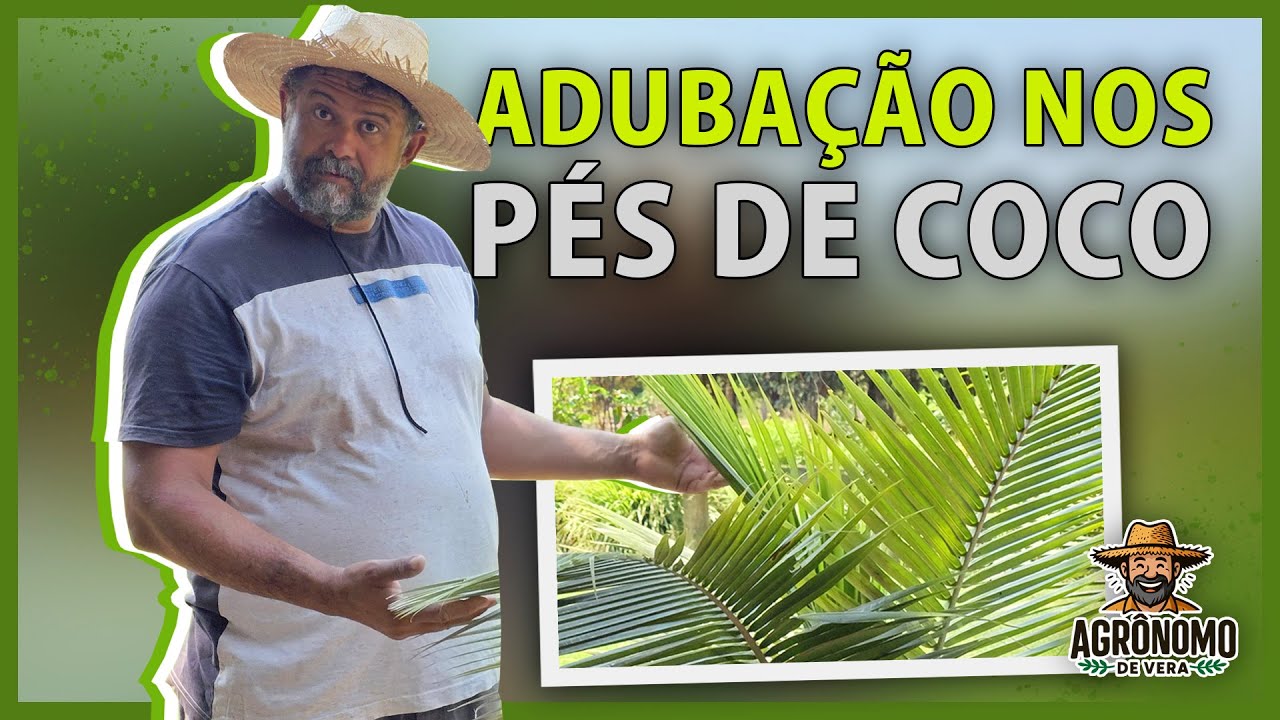 Como ADUBAR seu PÉ DE COCO 