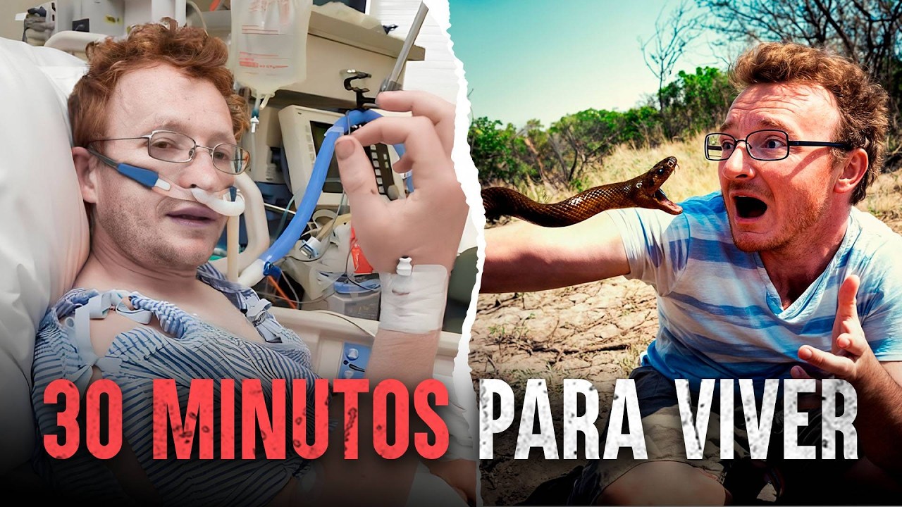 Sobrevivendo &agrave; serpente mais mortal da Terra: A Taipan do interior