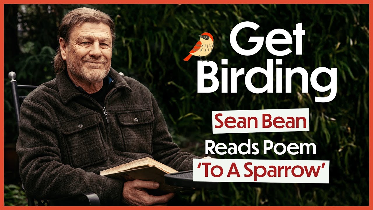 Sean Bean Reads 'To A Sparrow' Poem by Francis Ledwidge | Get Birding Podcast