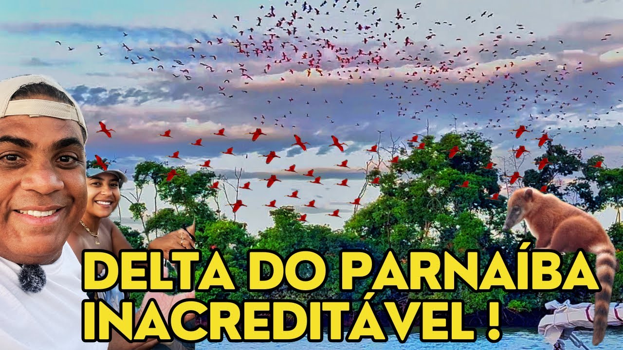DELTA DO PARNAÍBA : A REVOADA DOS GUARÁS É O ESPETÁCULO MAIS SURREAL DO BRASIL (ROTA DAS EMOÇÕES)
