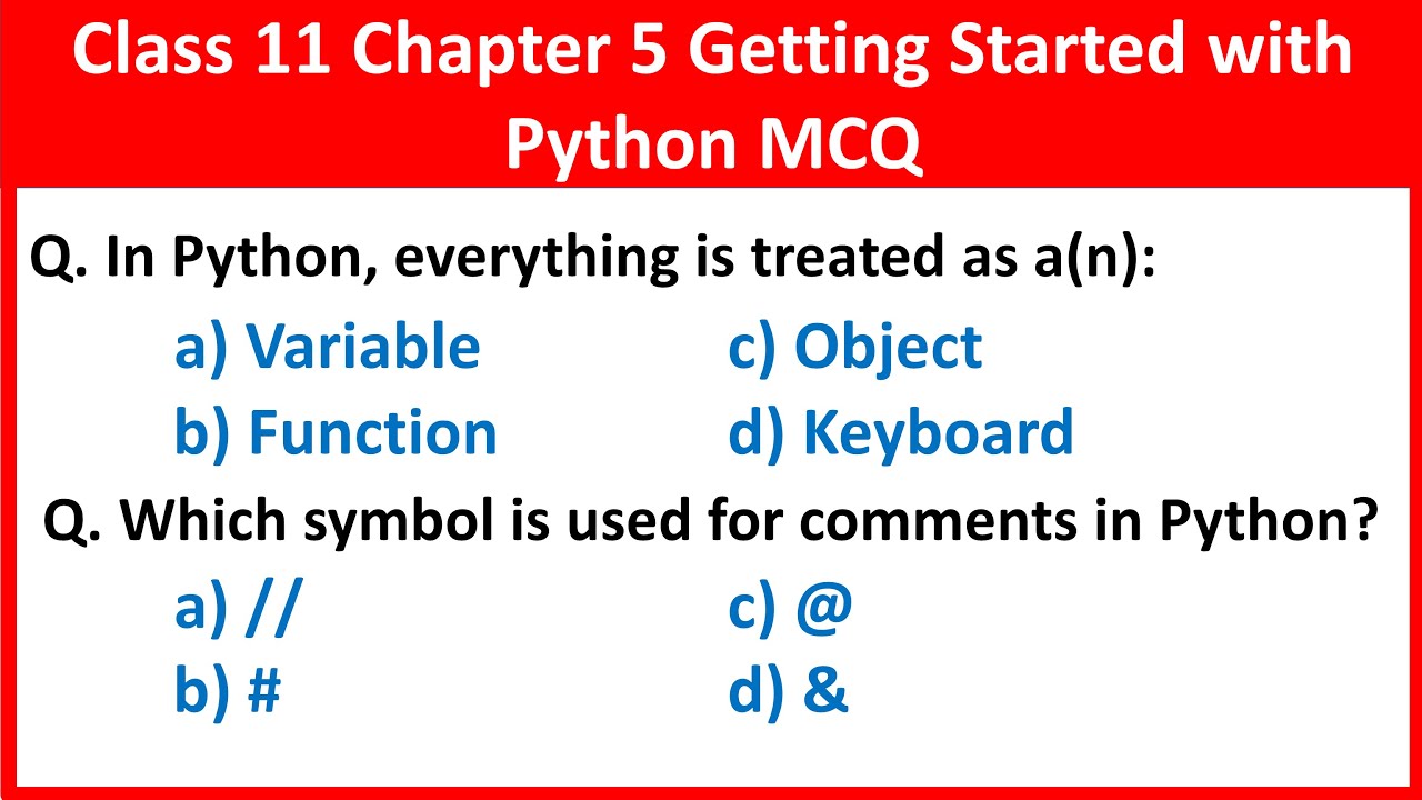 11 класс, компьютерные науки, глава 5, начало работы с Python, вопросы MCQ | Vision Academy