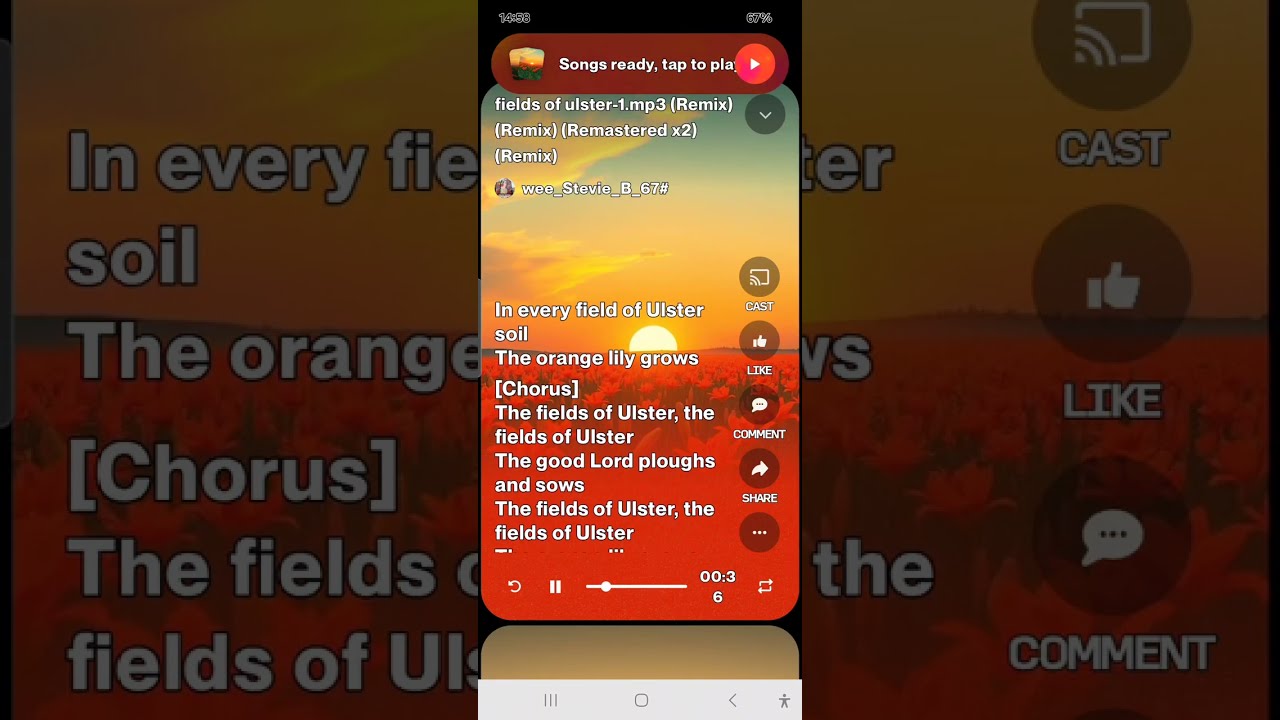 Fields of Ulster remix