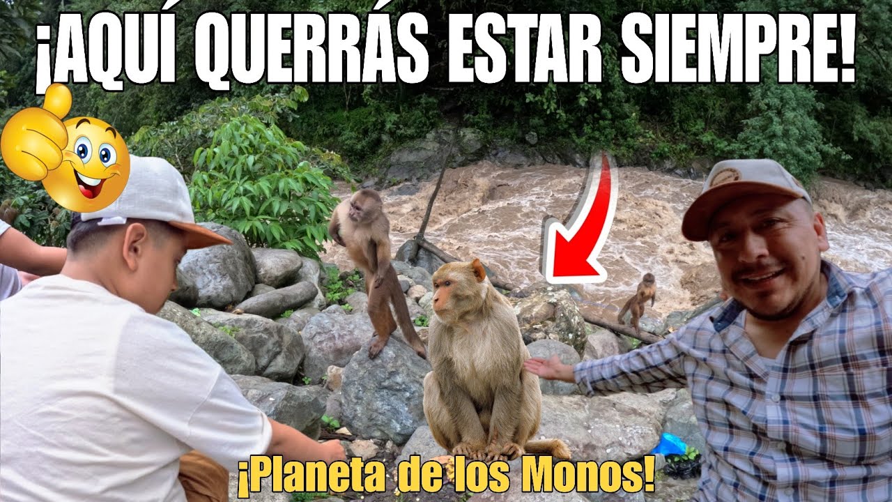 Un LUGAR que QUERRÁS VISITAR siempre (PARADERO de los MONOS) : Ferchito Aventura