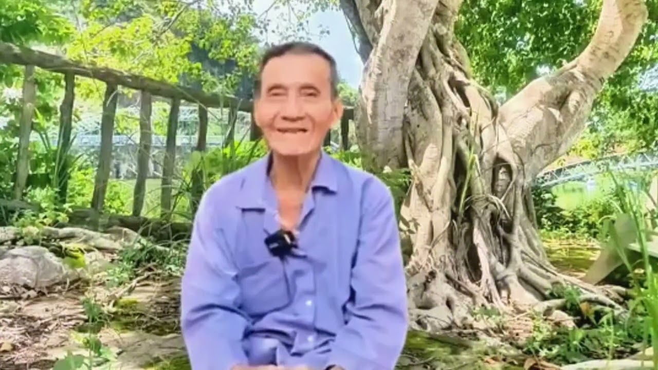 Chuyện bí ẩn khu rừng già…