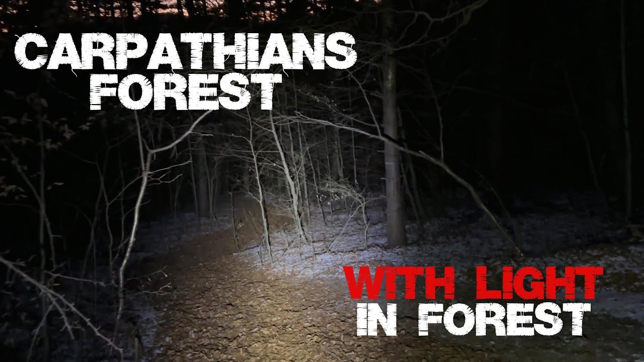 Walking in Carpathians Forest - Unknown Light | Night Walking