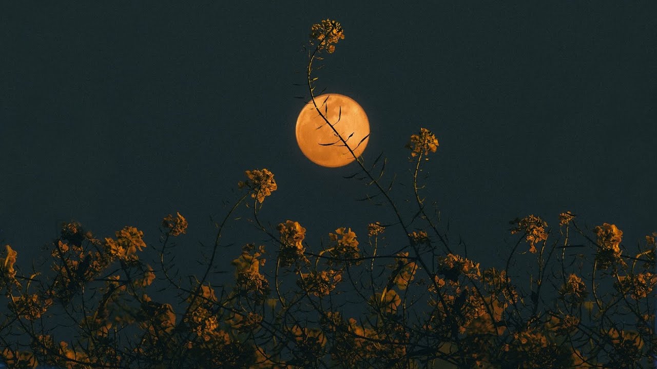 listening to post-rock with the moon