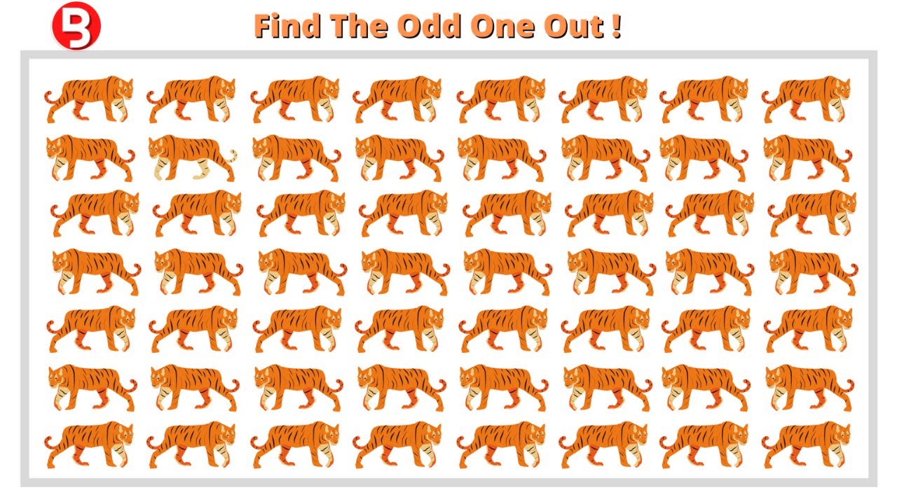 Find out the odd animal | Brainry Animal Series | Find the odd one out