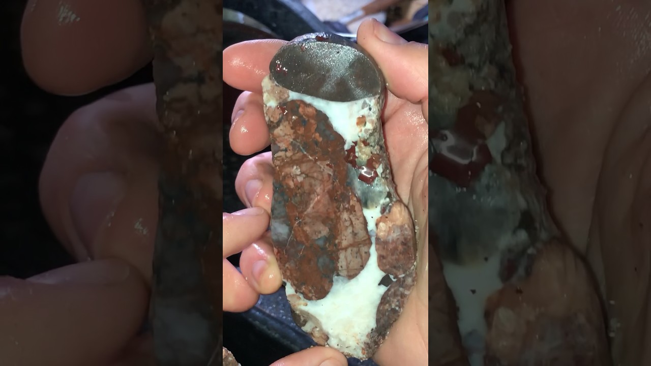 What&rsquo;s inside of this Conglomerate?   #lapidary #hitechdiamond #shorts #rockhounding