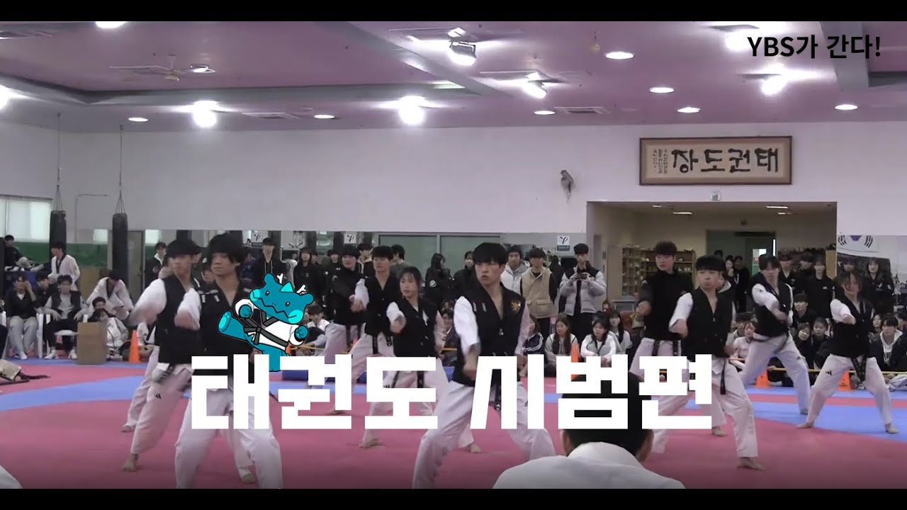 [YBS가 간다!] 태권도학과편 - 시범