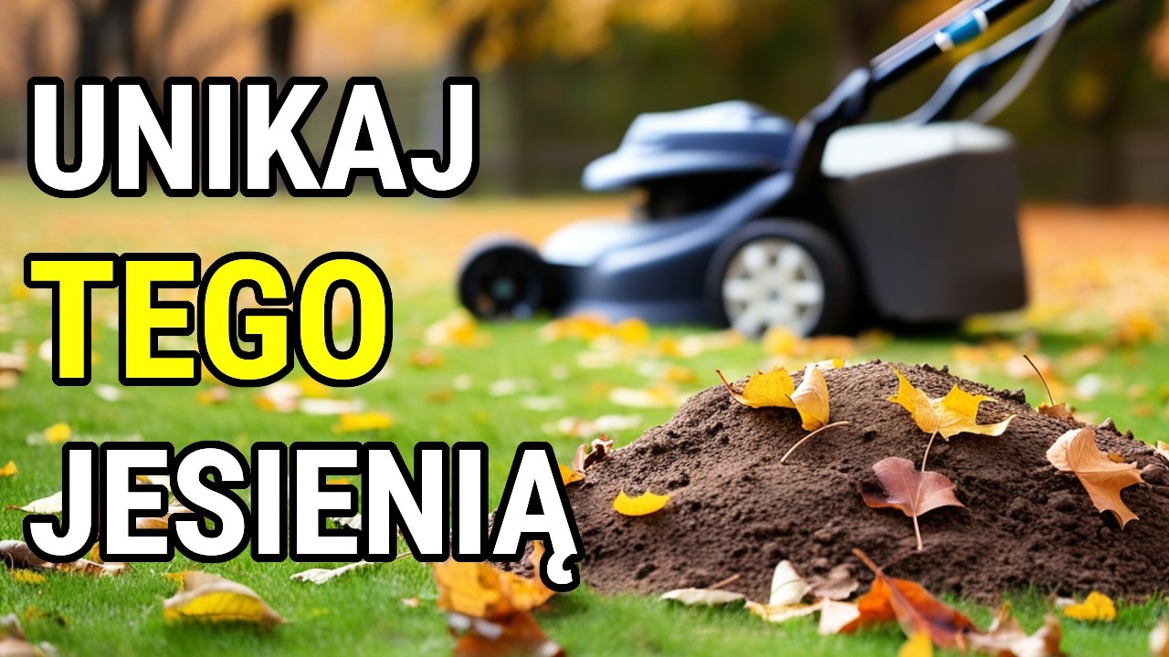 Tak niszczysz trawnik jesienią. 5 najgorszych błędów!
