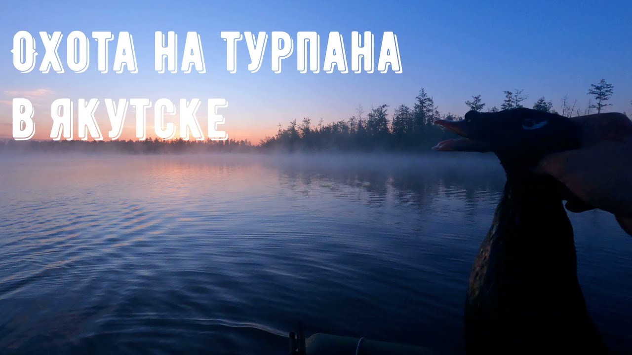Охота на турпана в Якутии