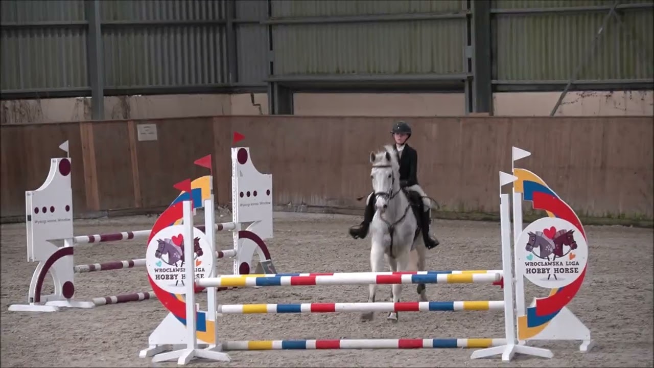 Working Equitation Skoki