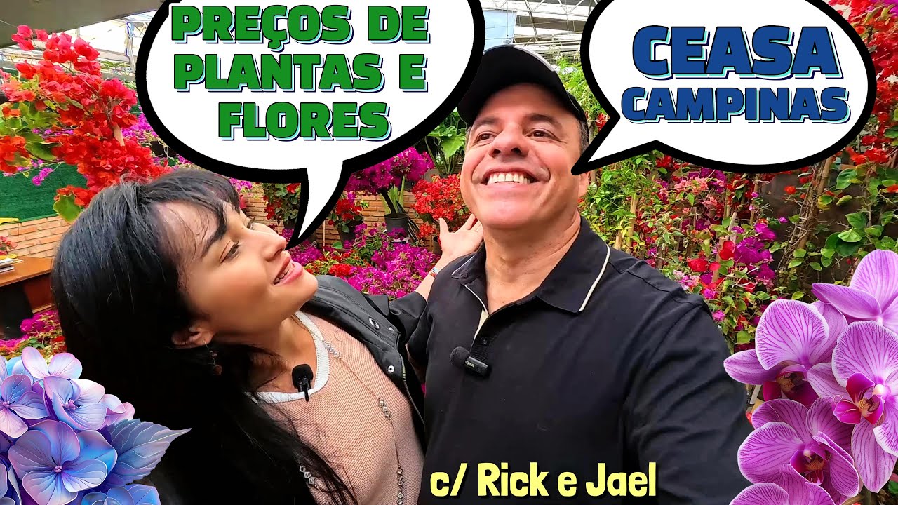 PREÇOS - CEASA DE CAMPINAS - MERCADO DE FLORES