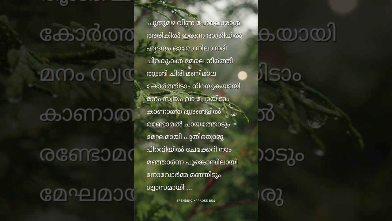പുതുമഴ വീണ പോലൊരാൾ 🥰| Sarvam Maya | Short Lyrics song | 
