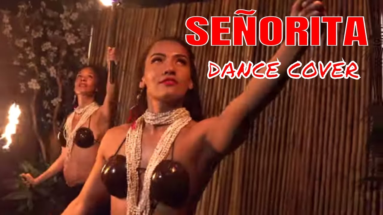 SEÑORITA Dance Remix