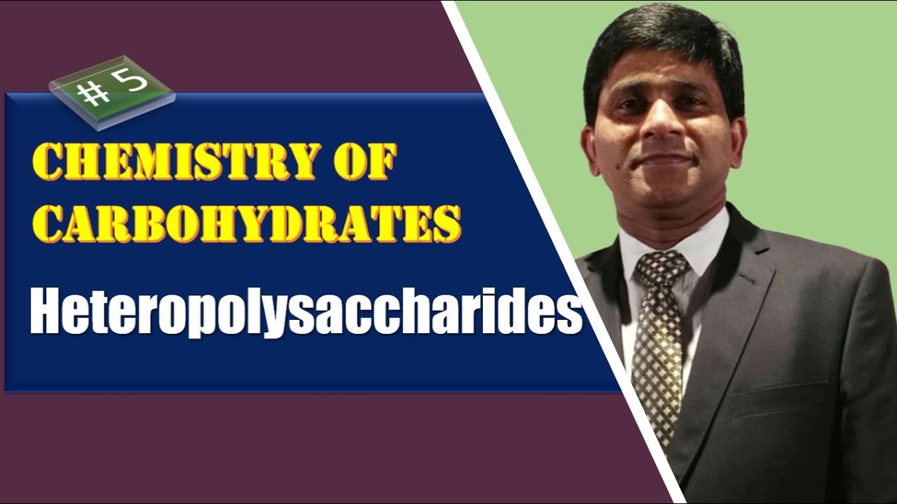 Heteropolysaccharides: Carbohydrates chemistry: Biochemistry