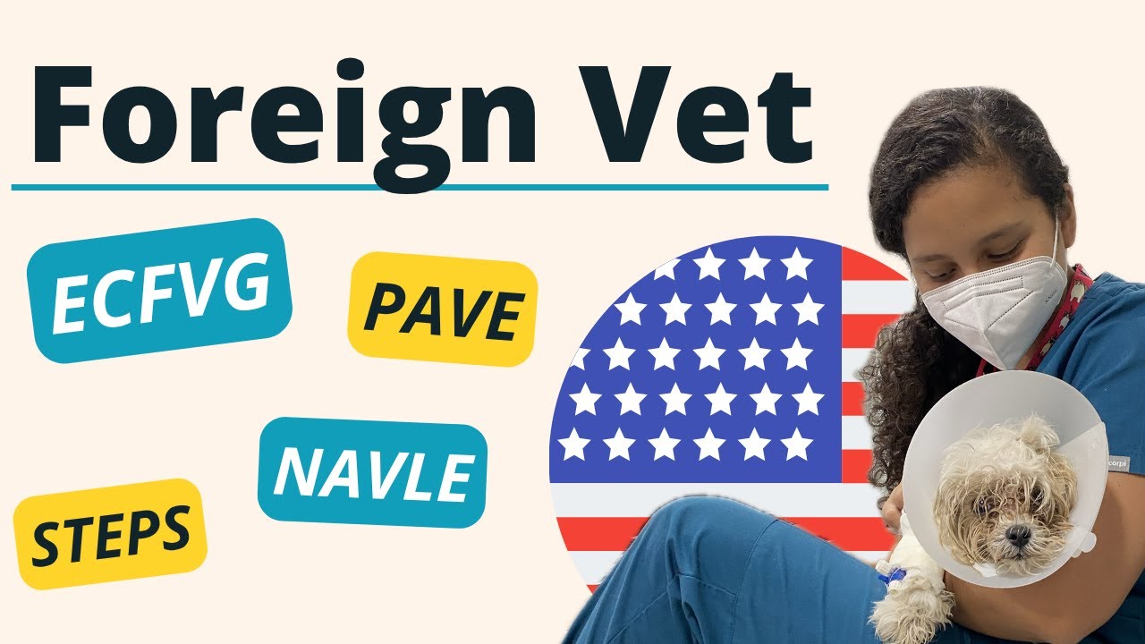 Working as a Foreign Veterinarian in USA | ECFVG, PAVE