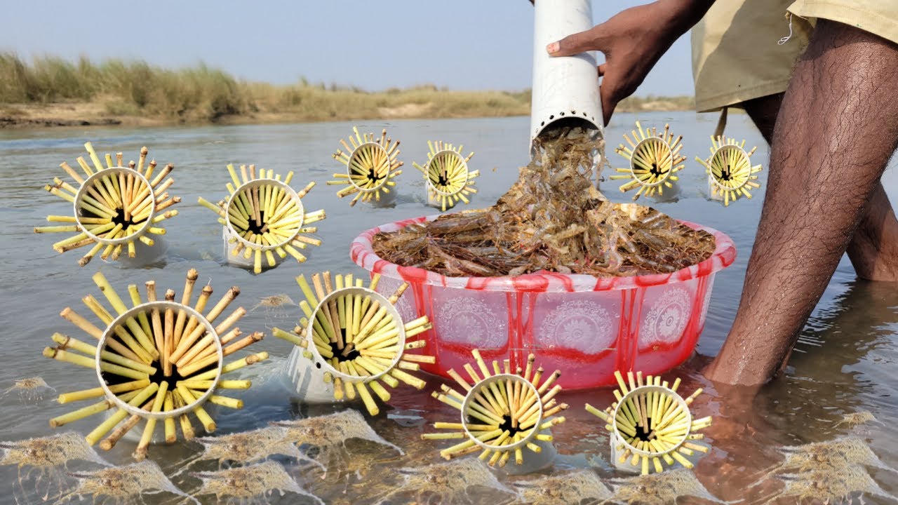 Unique shrimp fishing trap. Shrimp or prawn catching trap with plastic pipe. Best fishing technique.