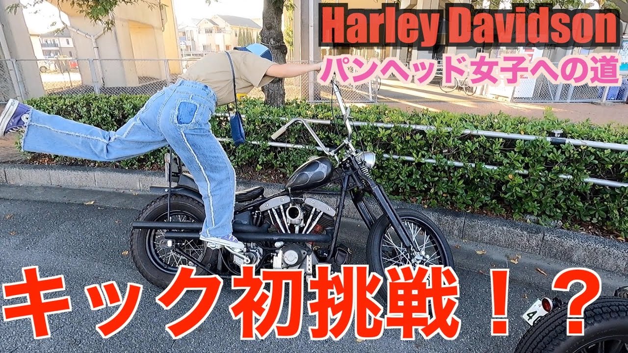 【ハーレー】新旧バイク紹介&初キックでまさかの、、、Harley Davidson