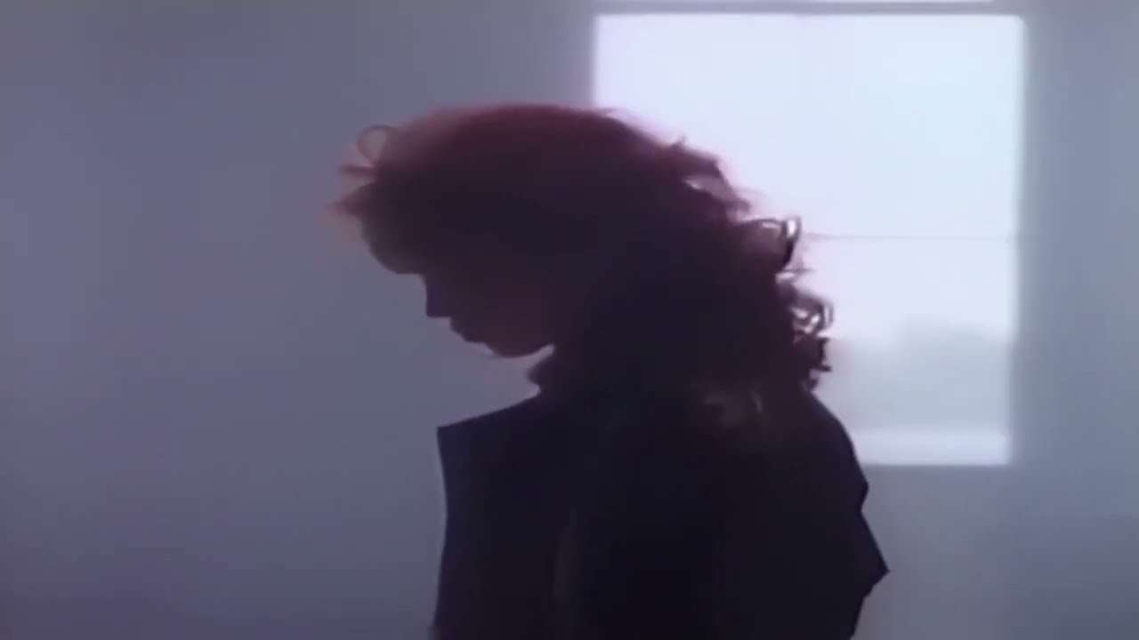 Brenda K. Starr - What You See, Is What You Get (Official Video 1988)