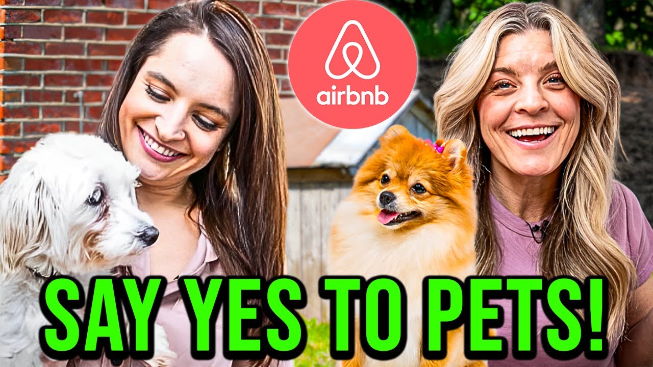Why Saying ‘No’ to Pets Is Losing You Airbnb Bookings